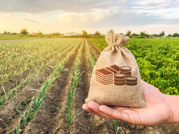 Yield Farming